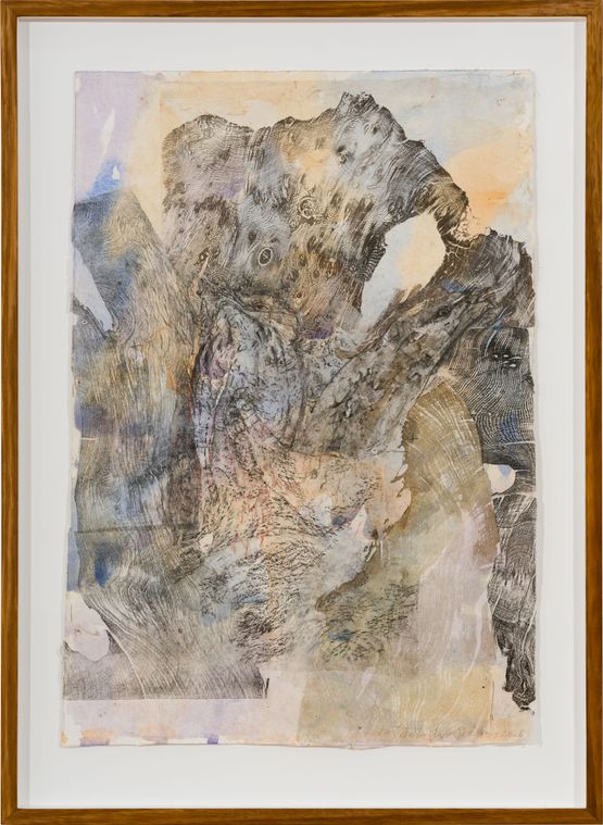 Tawny frogmouth by John Wolseley contemporary artwork Works on Paper