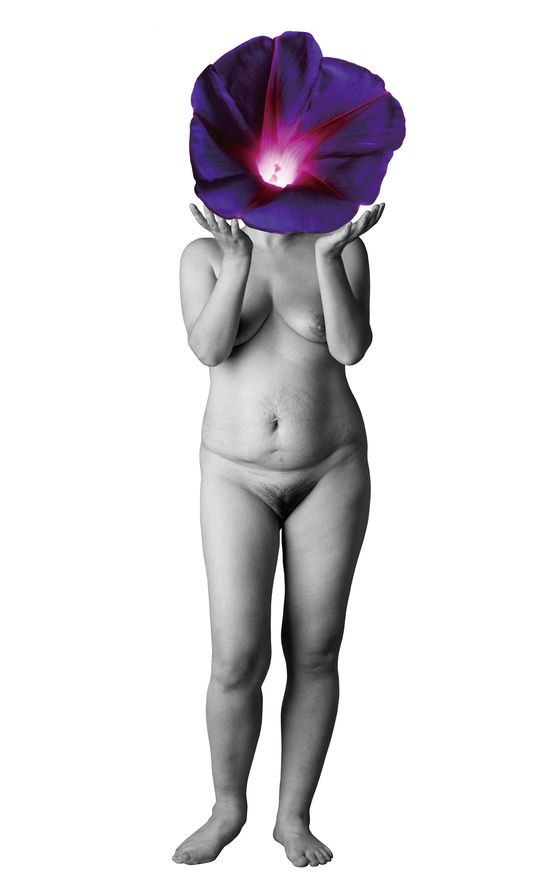Body and Sexuality 7 by Young Sook Park contemporary artwork Photography