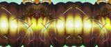 MTA Rorschach by Kerstin Bratsch contemporary artwork print