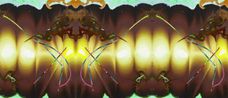 MTA Rorschach by Kerstin Bratsch contemporary artwork Print