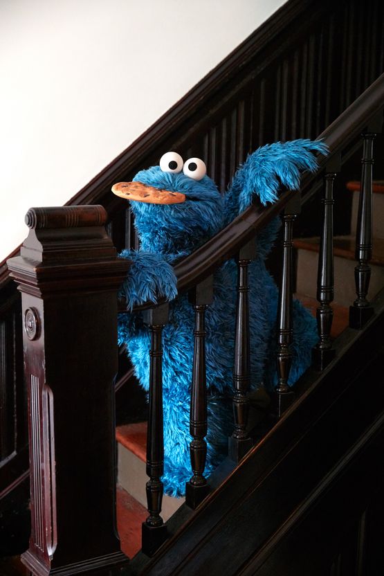 Cookie Descending the Staircase by Roe Ethridge contemporary artwork Print
