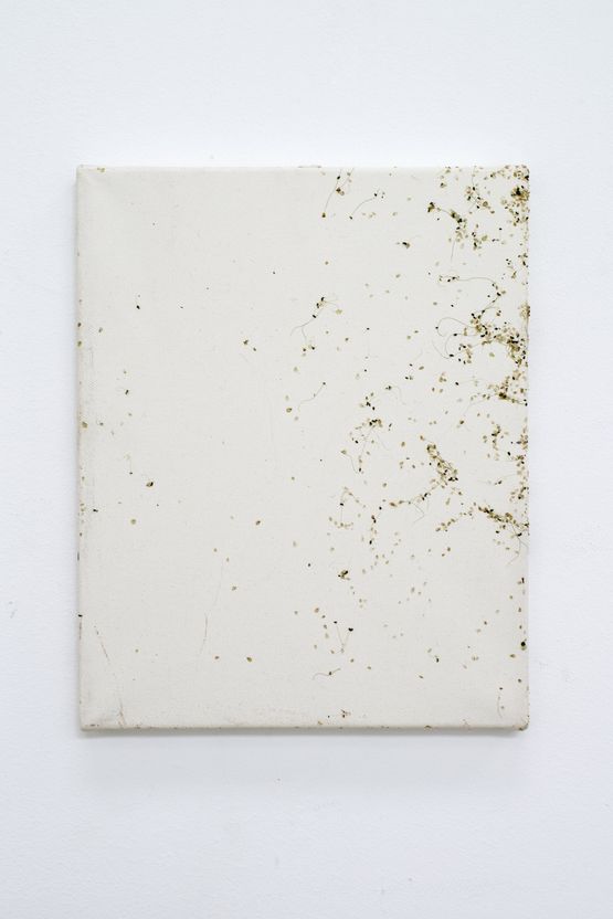 Mailed Painting 163 Berlin - Roma - Zurich - Berlin - Basel - Berlin by Karin Sander contemporary artwork Painting