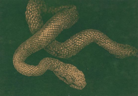 Chain by Eunsil Lee contemporary artwork Works on Paper