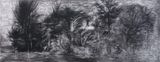 Antiquity - Weeds and Trees No.3 by Zhao Zhao contemporary artwork drawing works on paper