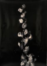 Against the sun XI by Alexandra Karakashian contemporary artwork works on paper