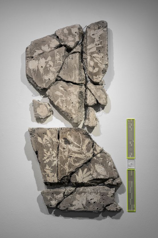 Untitled by Matteo Zamagni contemporary artwork NFT