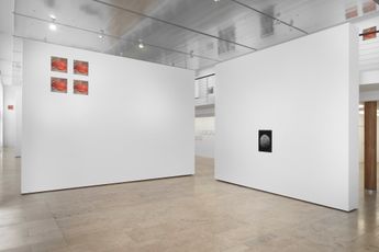 Contemporary art exhibition Peter Piller Geduld at Capitain Petzel Berlin Germany