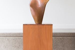 Tanya Ashken