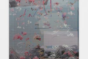 Petra Cortright