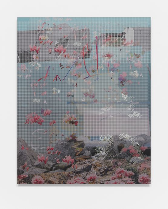 BURR RIDGE WEBSITES byteswitch bwitched naked by Petra Cortright contemporary artwork Painting