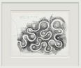 Wandering Canal with Mounds by Robert Smithson contemporary artwork Works on Paper