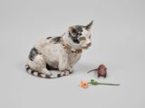 Cat  Mouse by Sonia Boyajian contemporary artwork sculpture