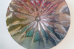 Conrad Shawcross