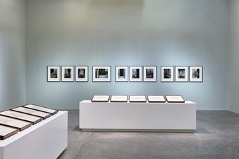Contemporary art exhibition Seher Shah When Words Disappear into Trees at Green Art Gallery Dubai United Arab Emirates