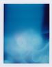 Polaroid Film No. 31 by Jiang Pengyi contemporary artwork Photography