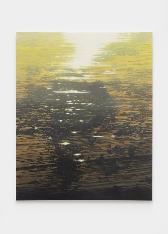 Wood Grain-SHA by Shi Jiayun contemporary artwork Painting