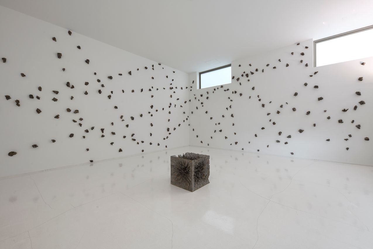 Shigeo Toya