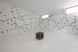 Shigeo Toya