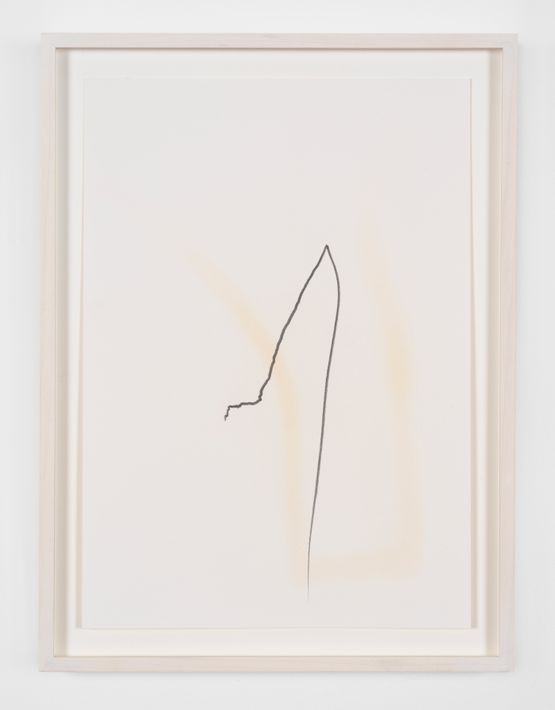 ParticleWord Theory by Jimmie Durham contemporary artwork Drawing