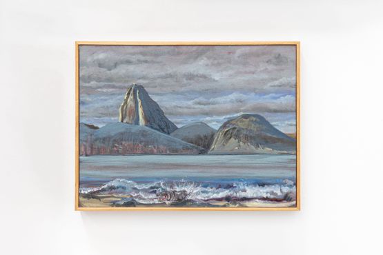 Hipopotamo en Copacabana Expedicion Rio de Janeiro by Alberto Baraya contemporary artwork Painting