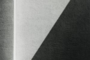 Fan Ho