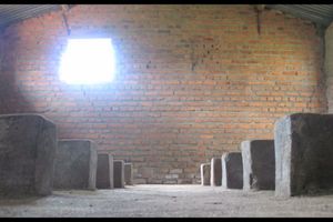 Alfredo Jaar