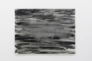 Joan Witek