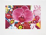 Six Moments of Sunrise on the Ganges Delta by Marc Quinn contemporary artwork print