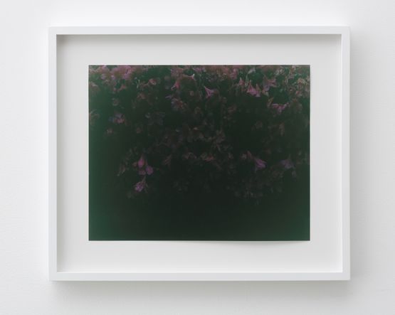 Meguro Tokyo by Chikashi Suzuki contemporary artwork Photography