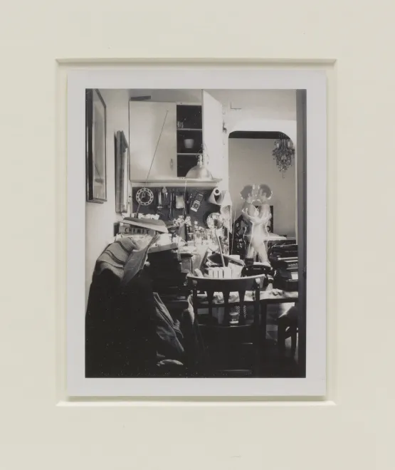 AutoPolaroid by Lucas Samaras contemporary artwork Photography