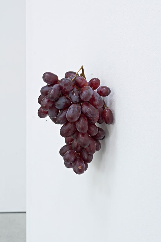 Red Grapes  Rote Trauben by Karin Sander contemporary artwork Sculpture