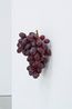 Red Grapes  Rote Trauben by Karin Sander contemporary artwork Sculpture