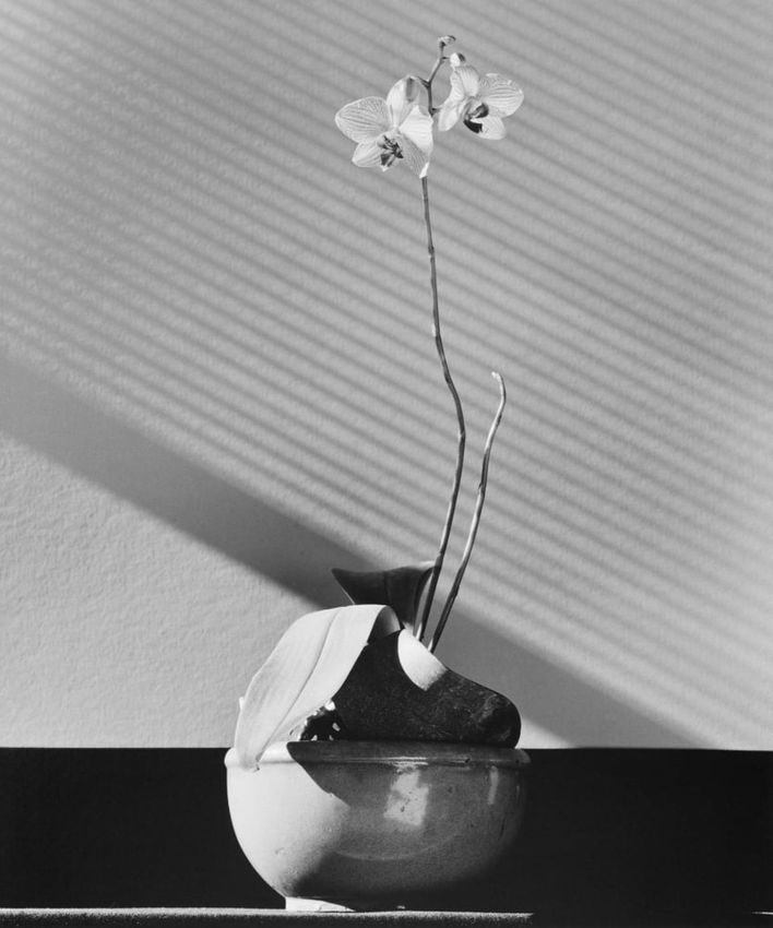 Robert Mapplethorpe