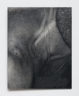 Benjamin39s Neck by Simon Haas contemporary artwork drawing