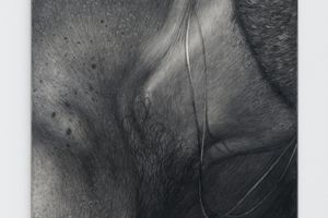 Simon Haas