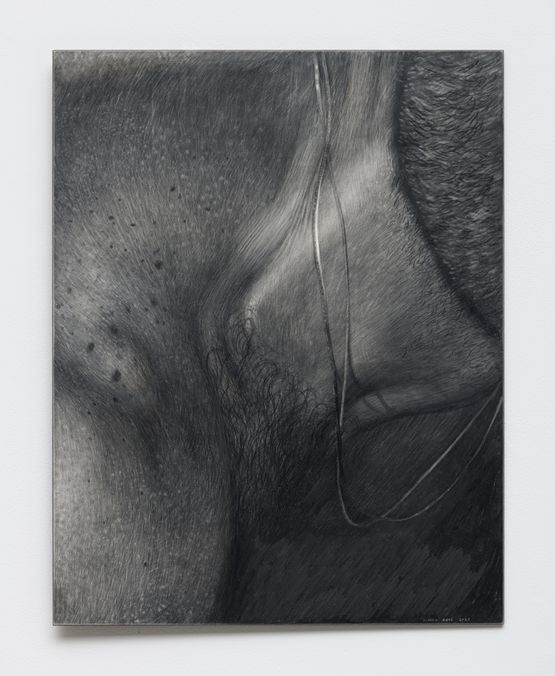 Benjamin39s Neck by Simon Haas contemporary artwork Drawing