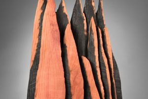 David Nash