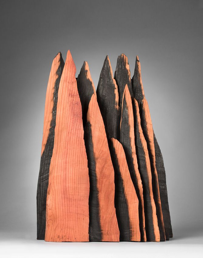 David Nash