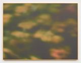 Hiking Path by Leila Spilman contemporary artwork photography