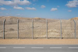 Lucas Foglia