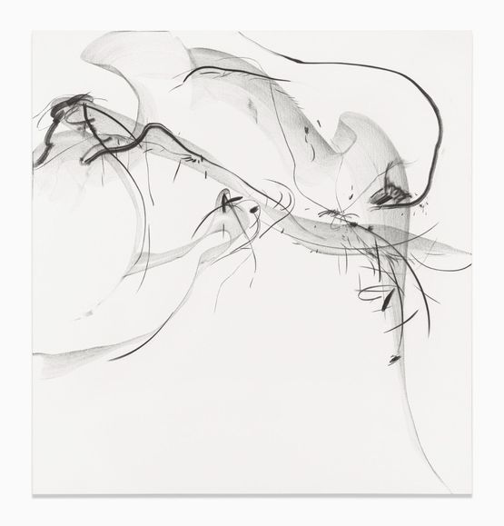Zhuangzi Dreaming of Becoming a Butterfly by Xiyao Wang contemporary artwork Drawing