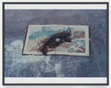 Sinnlicher Marmor Sensual Marble by Lothar Baumgarten contemporary artwork photography print
