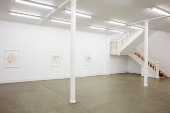 Contemporary art exhibition Alicia Frankovich Alicia Frankovich at Starkwhite Auckland New Zealand