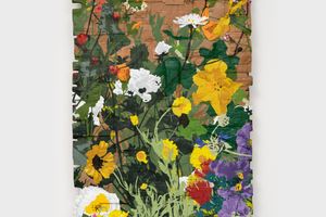 Andrea Bowers