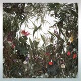 Hasht Bihisht 3 by Ji Zhou contemporary artwork photography print