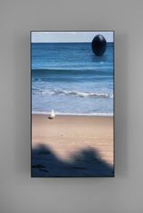 South Beach Seagull by Rachel Rose contemporary artwork sculpture moving image