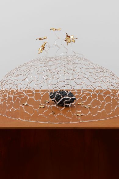 Kelly Akashi Reimagines the Ruins of Her Fire-Ravaged Home