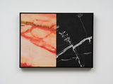 Temptation to co exist by Matt Arbuckle contemporary artwork painting textile
