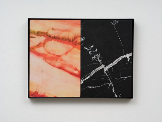 Temptation to co exist by Matt Arbuckle contemporary artwork Painting
