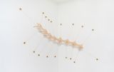 szeb - insepacan 8 by Ernesto Neto contemporary artwork sculpture
